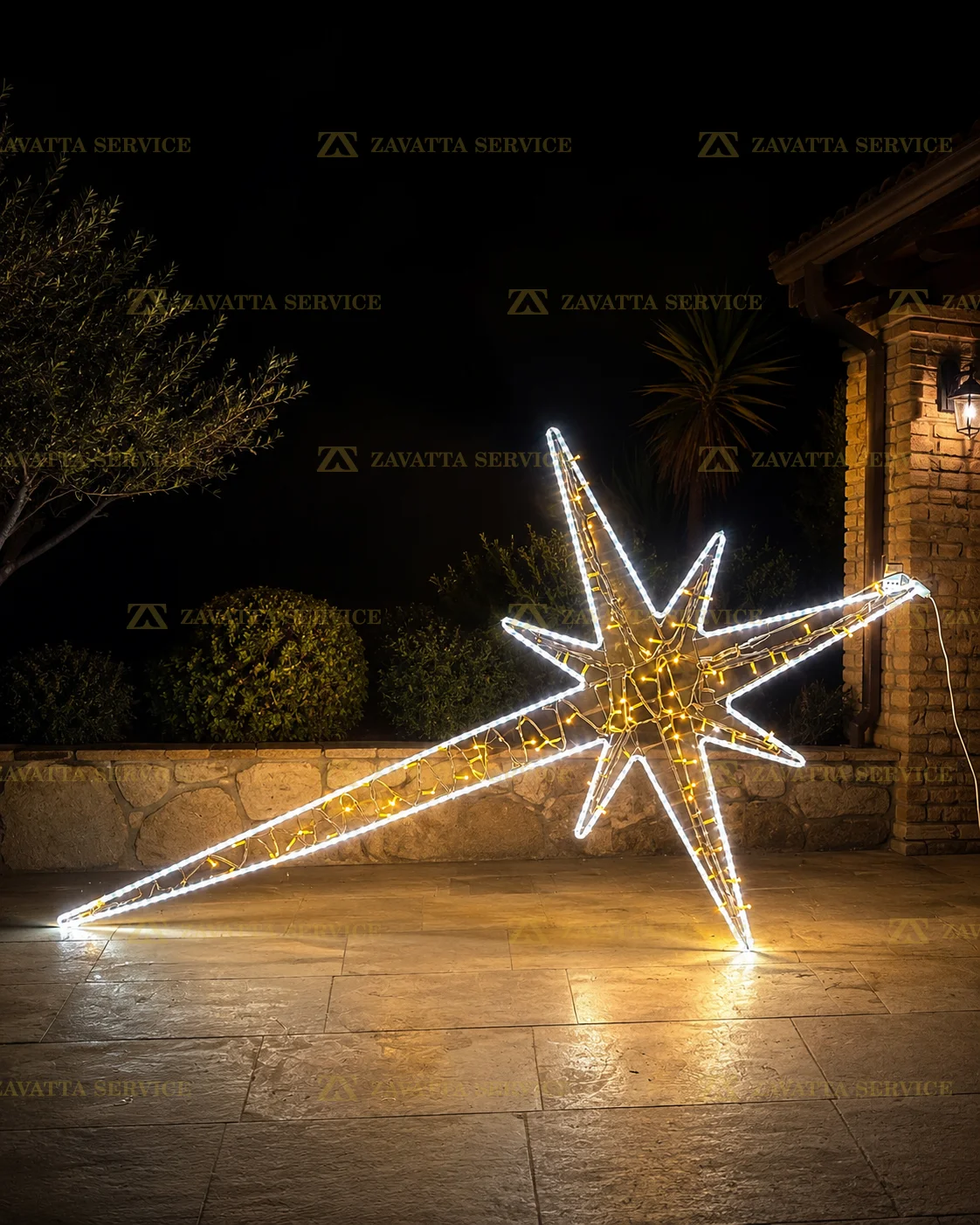 Stella cometa 2D